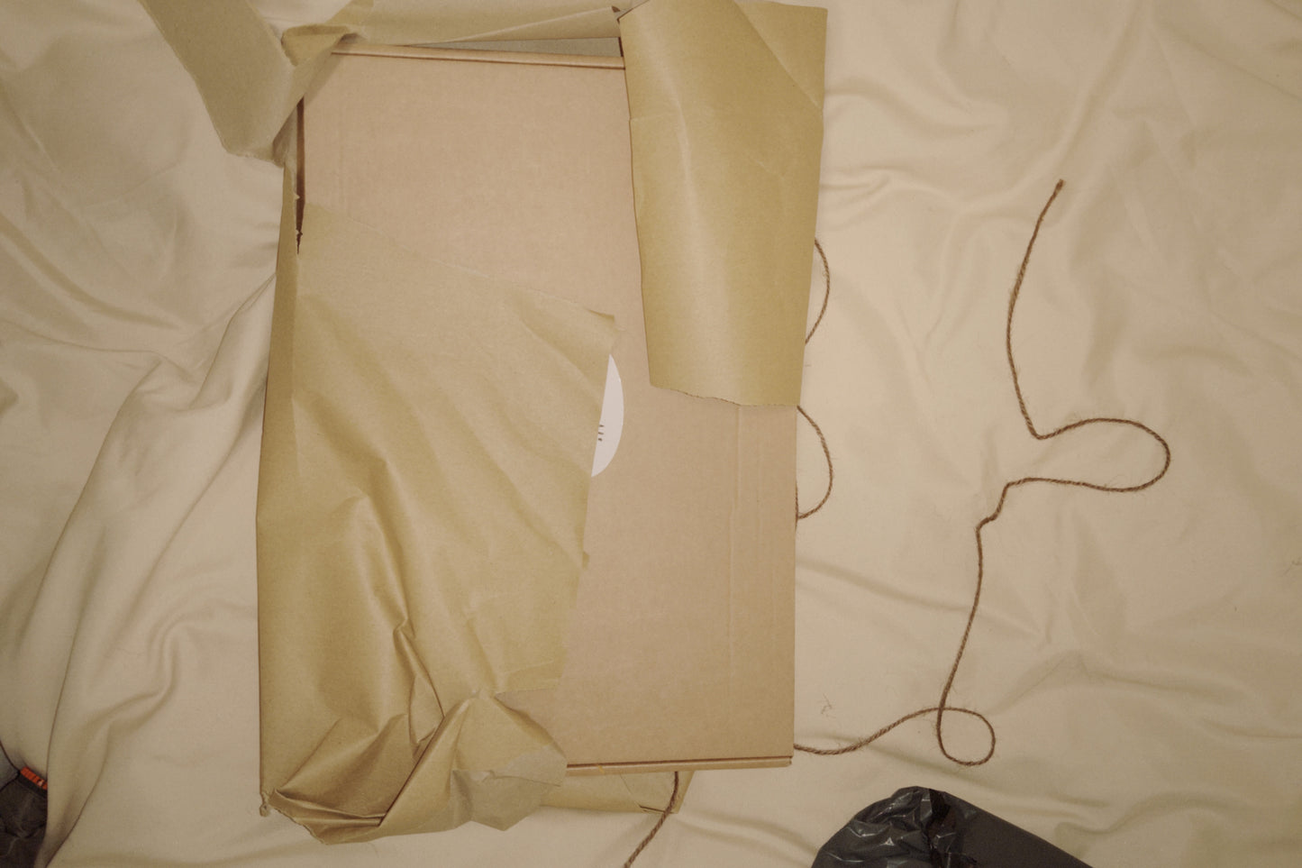 Christmas Eve Arrival (Special delivery) Cookie Box